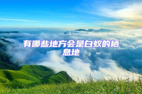 有哪些地方會(huì)是白蟻的棲息地