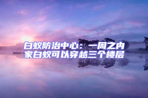 白蟻防治中心:一周之內家白蟻可以穿越三個樓層