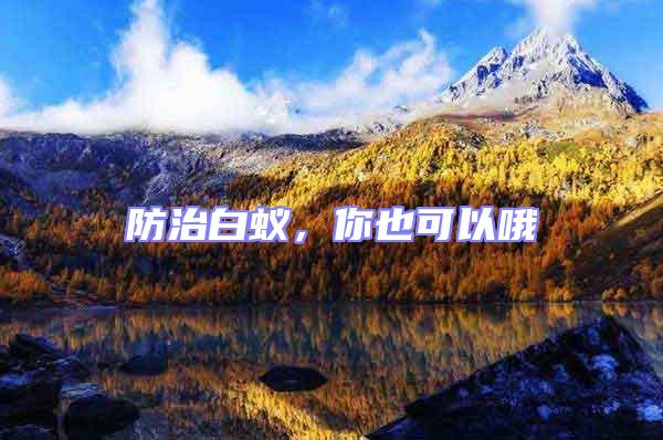 防治白蟻，你也可以哦