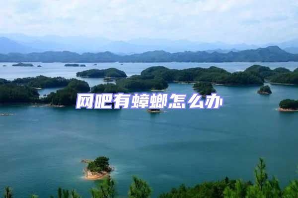 網吧有蟑螂怎么辦