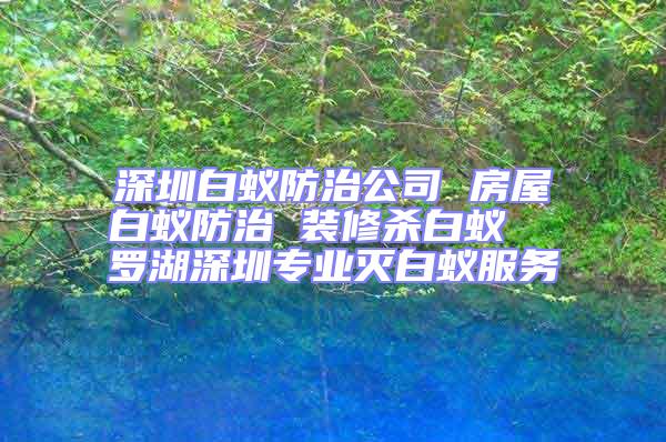 深圳白蟻防治公司 房屋白蟻防治 裝修殺白蟻 羅湖深圳專業滅白蟻服務