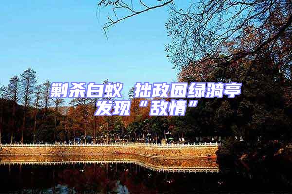 剿殺白蟻 拙政園綠漪亭發現“敵情”