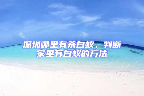 深圳哪里有殺白蟻,判斷家里有白蟻的方法