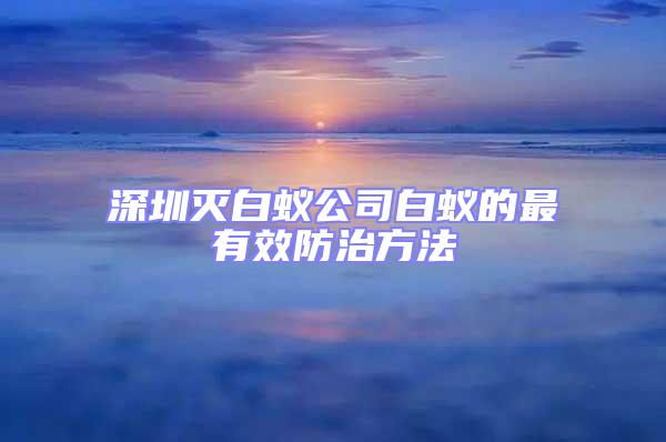 深圳滅白蟻公司白蟻的最有效防治方法