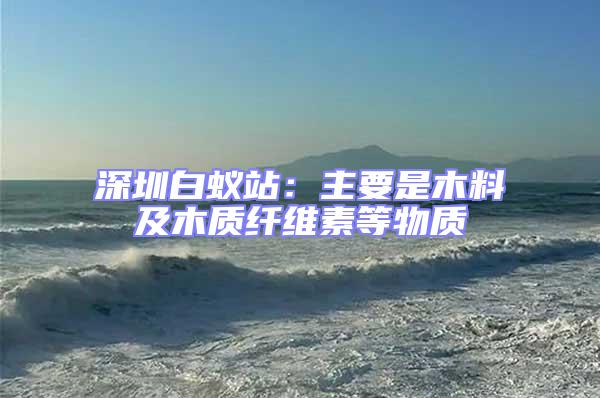 深圳白蟻站:主要是木料及木質(zhì)纖維素等物質(zhì)