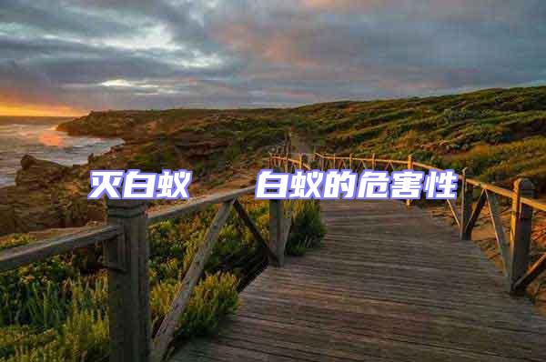 滅白蟻 白蟻的危害性