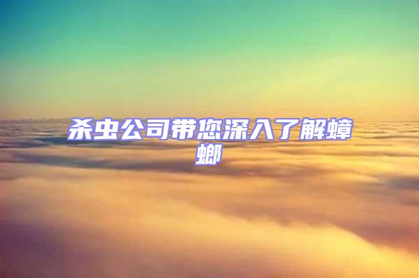 殺蟲公司帶您深入了解蟑螂