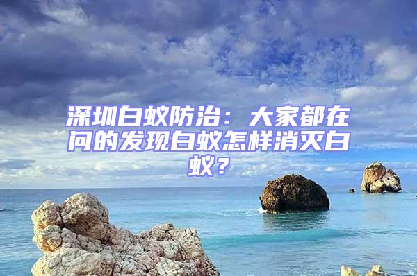 深圳白蟻防治:大家都在問的發現白蟻怎樣消滅白蟻?