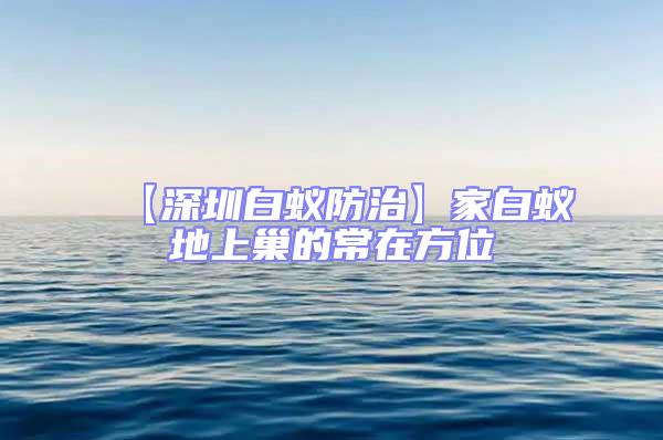 【深圳白蟻防治】家白蟻地上巢的常在方位