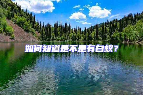 如何知道是不是有白蟻？