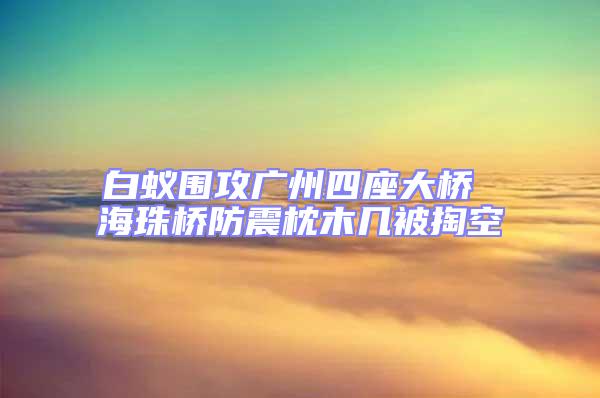 白蟻圍攻廣州四座大橋 海珠橋防震枕木幾被掏空