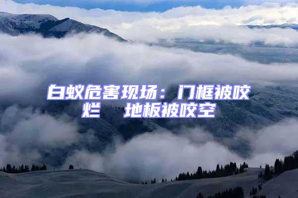 白蟻危害現(xiàn)場(chǎng)：門框被咬爛  地板被咬空