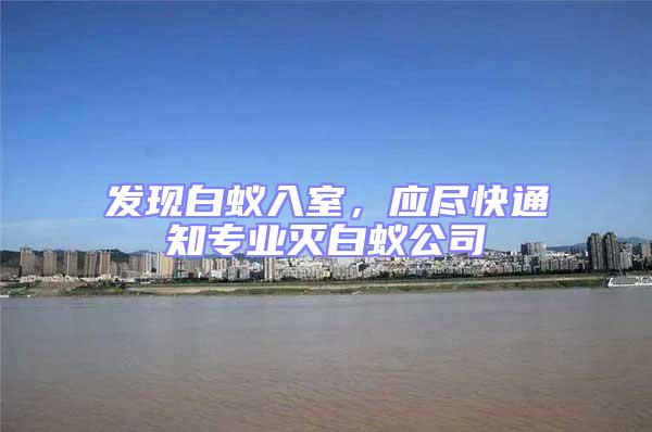 發(fā)現(xiàn)白蟻入室，應盡快通知專業(yè)滅白蟻公司