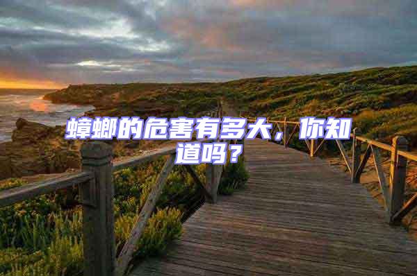 蟑螂的危害有多大，你知道嗎？