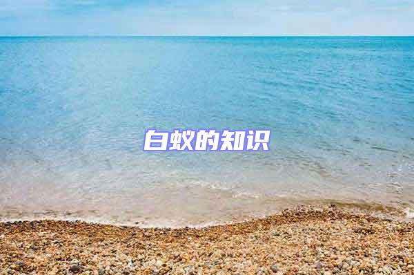 白蟻的知識