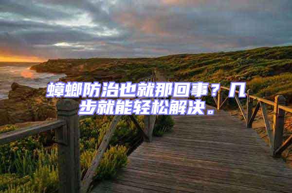 蟑螂防治也就那回事？幾步就能輕松解決。