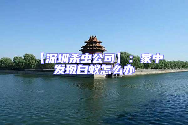 【深圳殺蟲公司】：家中發現白蟻怎么辦