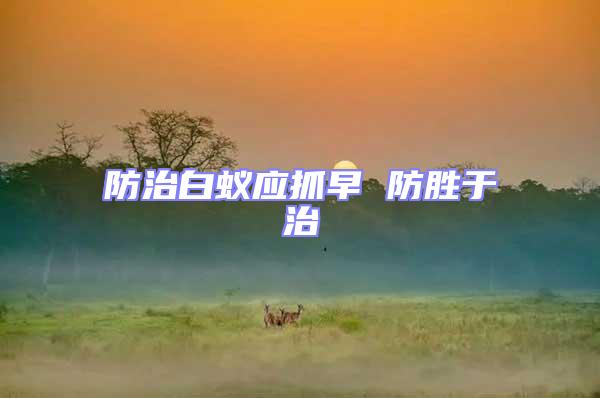 防治白蟻應(yīng)抓早 防勝于治