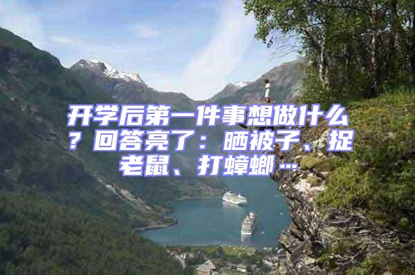 開學后第一件事想做什么？回答亮了：曬被子、捉老鼠、打蟑螂…