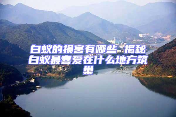 白蟻的損害有哪些 揭秘白蟻?zhàn)钕矏?ài)在什么地方筑巢