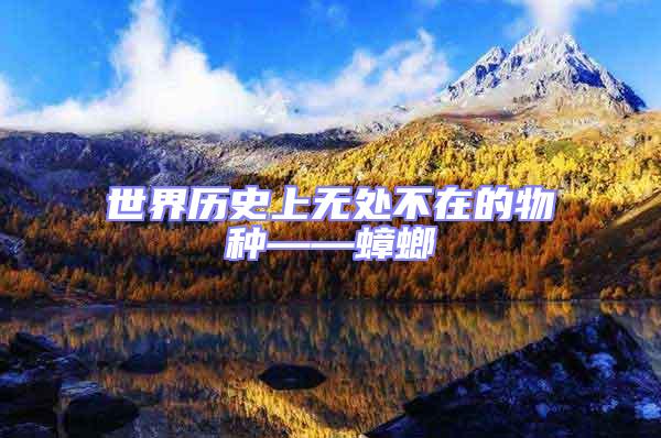 世界歷史上無(wú)處不在的物種——蟑螂