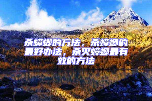 殺蟑螂的方法，殺蟑螂的最好辦法，殺滅蟑螂最有效的方法