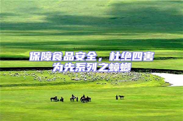 保障食品安全，杜絕四害為先系列之蟑螂