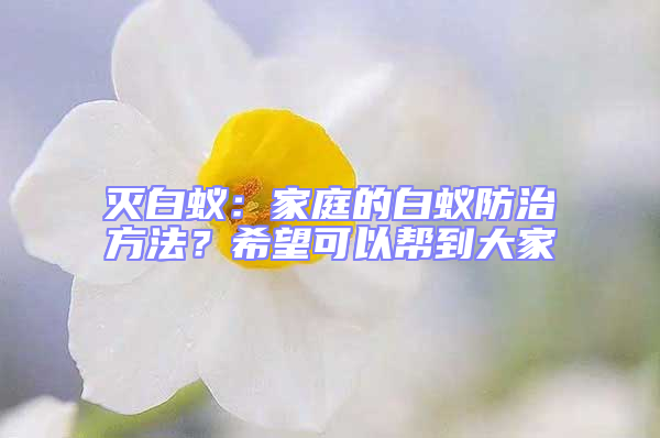 滅白蟻:家庭的白蟻防治方法?希望可以幫到大家