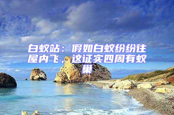 白蟻站：假如白蟻紛紛往屋內飛，這證實四周有蟻巢