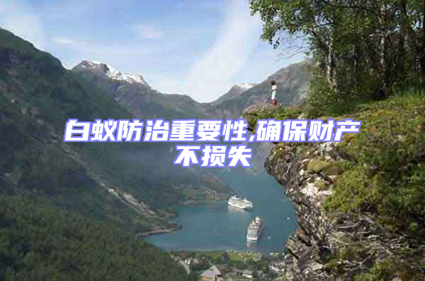 白蟻防治重要性,確保財(cái)產(chǎn)不損失