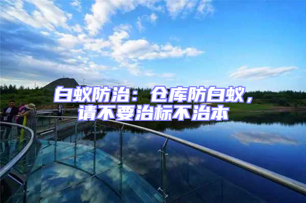 白蟻防治：倉庫防白蟻，請不要治標(biāo)不治本