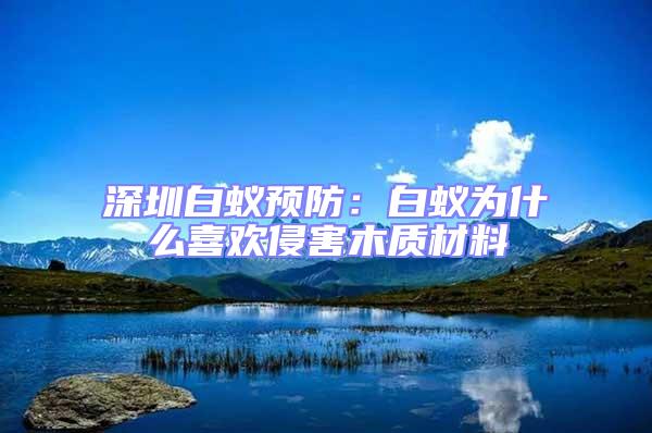 深圳白蟻預(yù)防：白蟻為什么喜歡侵害木質(zhì)材料