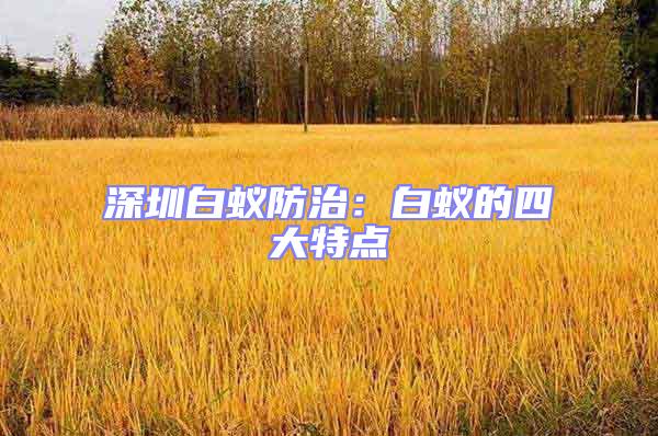 深圳白蟻防治：白蟻的四大特點