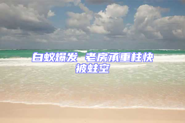 白蟻爆發(fā) 老房承重柱快被蛀空