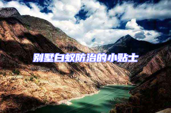 別墅白蟻防治的小貼士