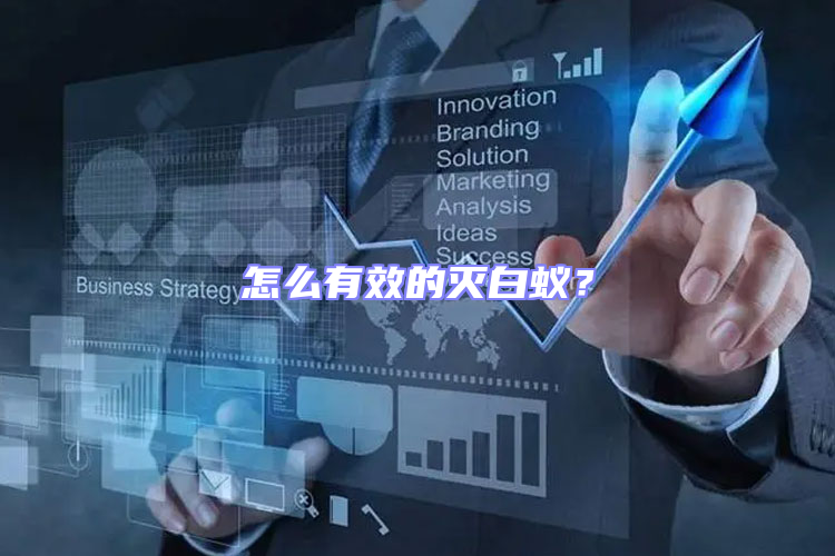 怎么有效的滅白蟻？