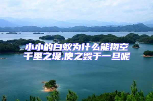 小小的白蟻為什么能掏空千里之堤,使之毀于一旦呢