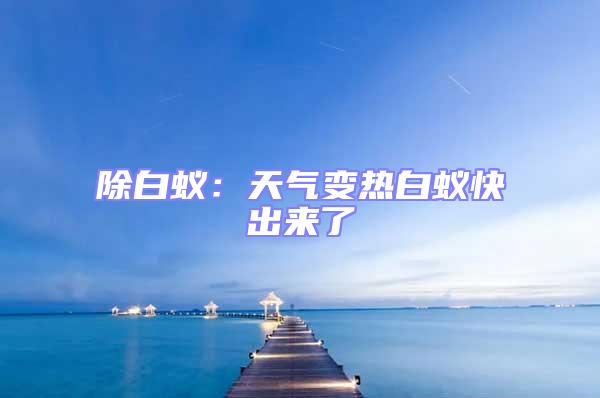 除白蟻：天氣變熱白蟻快出來了