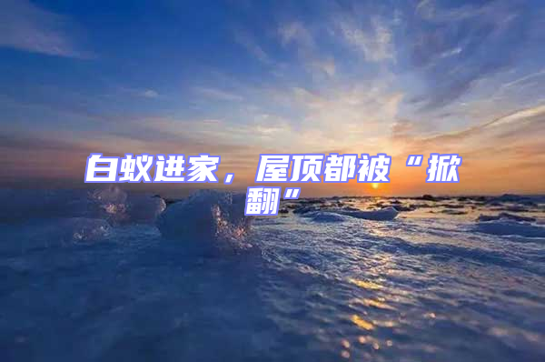 白蟻進家,屋頂都被“掀翻”