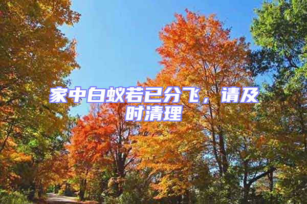 家中白蟻若已分飛，請及時清理