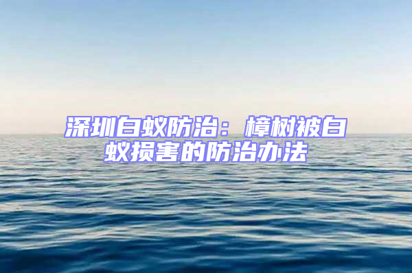 深圳白蟻防治：樟樹(shù)被白蟻損害的防治辦法