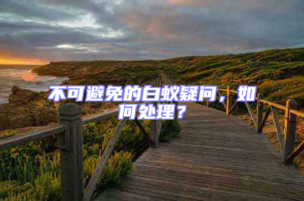 不可避免的白蟻疑問，如何處理？