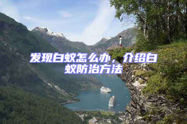 發現白蟻怎么辦,介紹白蟻防治方法