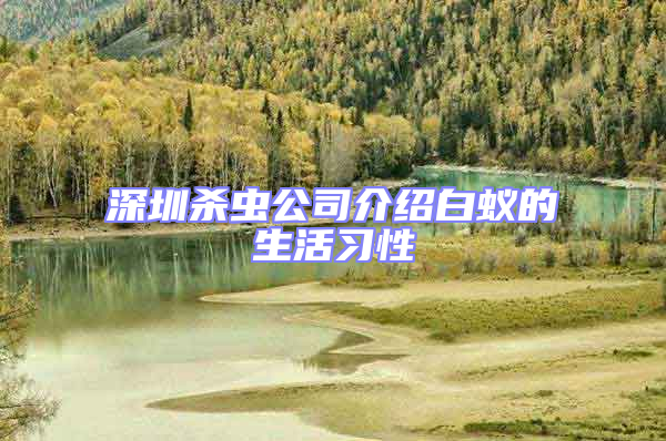 深圳殺蟲公司介紹白蟻的生活習性