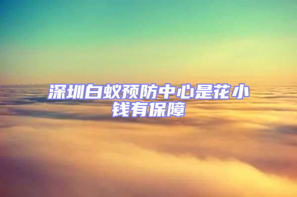 深圳白蟻預(yù)防中心是花小錢有保障