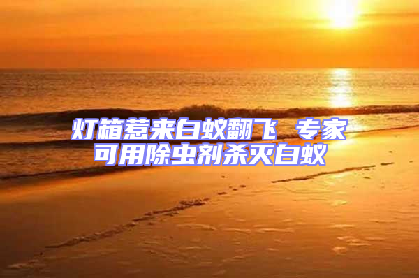 燈箱惹來白蟻翻飛 專家可用除蟲劑殺滅白蟻