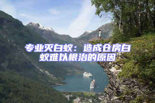 專業(yè)滅白蟻:造成倉房白蟻難以根治的原因