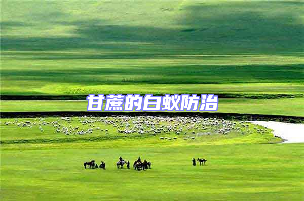 甘蔗的白蟻防治