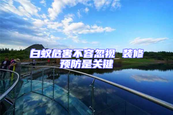 白蟻危害不容忽視 裝修預防是關鍵