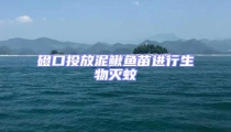 磴口投放泥鰍魚苗進(jìn)行生物滅蚊